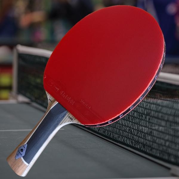 Gambler Zebra Pro with Zero rubber